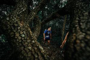 BIB: 
                            <button type="button" onclick="openModal(25679038)" class="btn btn-primary btn-sm float-right btn-popup" data-toggle="modal" data-target=".modal-high-quality">
                        <i class="fas fa-shopping-cart"></i> Add to Cart
                    </button>
                                            <button type="button" onclick="isThisMe(25679038, true)" class="btn btn-success btn-sm float-right btn-popup btn-isme hidden" data-toggle="tooltip" data-placement="bottom" title="นี่คือรูปของคุณใช่ไหม คลิกที่นี่เพื่อเอาเข้าอัลบั้ม">
                        <i class="fas fa-plus"></i> Add to album
                    </button>
                    <button type="button" onclick="isThisMe(25679038, false)" class="btn btn-warning btn-sm float-right btn-popup btn-isnotme hidden">
                        <i class="fas fa-ban"></i> Remove from album
                    </button>